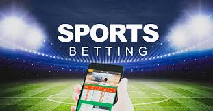 Casinos with Subscription Models 53 Casinos with Subscription Models 53